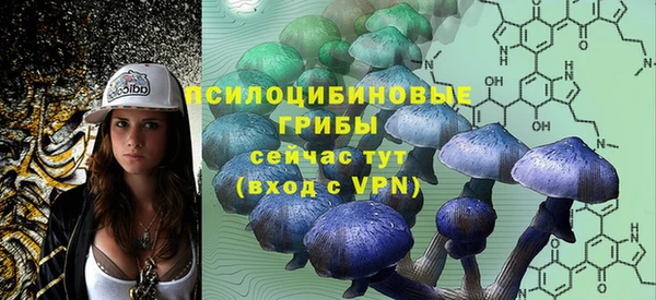 ПСИЛОЦИБИНОВЫЕ ГРИБЫ Белоозёрский