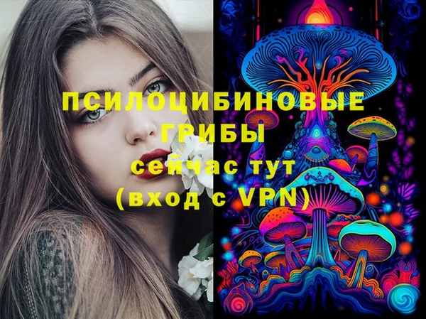ПСИЛОЦИБИНОВЫЕ ГРИБЫ Белоозёрский